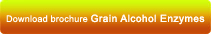 Enzyme Products
